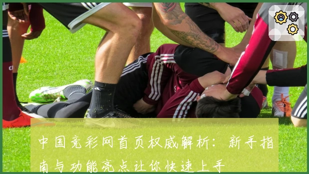 中国竞彩网首页权威解析：新手指南与功能亮点让你快速上手