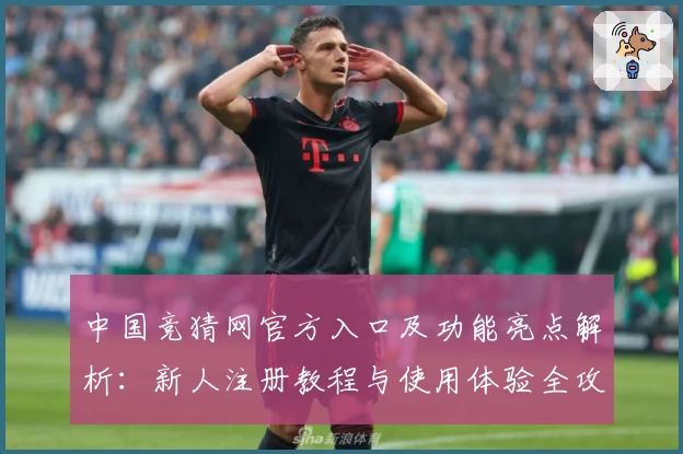 中国竞猜网官方入口及功能亮点解析：新人注册教程与使用体验全攻略
